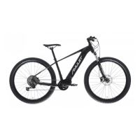 AMULET - 29" eRival 5.0 SH black matt/silver 2025